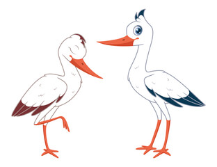 Pair of white storks. Two storks on white background. Vector cartoon illustration
