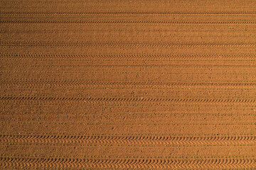 Top view of sprouting corn field from drone pov