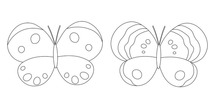 Set butterflies graphics black and white coloring vector illustration	