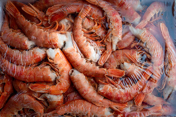 Large frozen headless langoustine prawns in a package. 