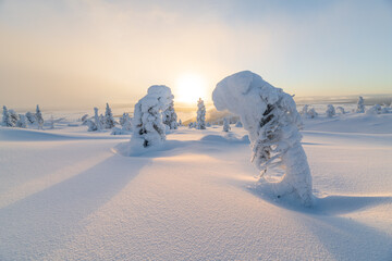 China's popular travel destination, Xinjiang, natural scenery in winter. Snow-covered forest, extremely cold environment.