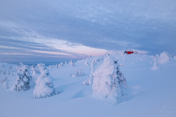 Winter scenery in Alaska, a popular travel destination in the United States. Winter forest covered by snow.
