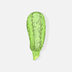 green zucchini on white isolated background