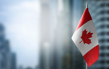 A small flag of Canada on the background of a blurred background - 426022839