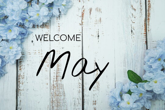 Welcome May text and blue flower decoration on wooden background