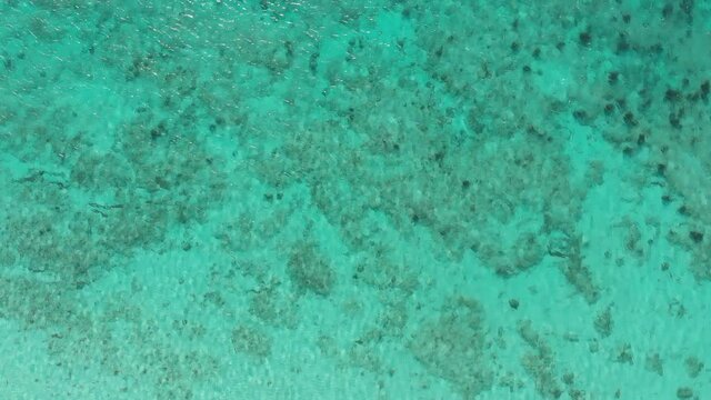 Playa Bah&iacute;a de las &Aacute;guilas en Rep&uacute;blica Dominicana