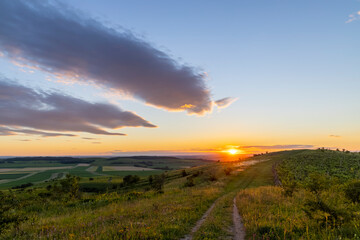 Fototapeta na wymiar Palava landscape near Dolni Dunajovice, Southern Moravia, Czech Republic