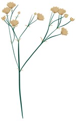 Tree branch roses with green leaves isolated on white background