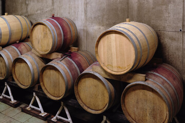 Wooden oak barrels in a winery nearby Batorove Kosihy, Slovakia