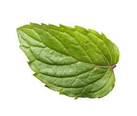 Obraz premium Fresh mint leaf isolated on white background