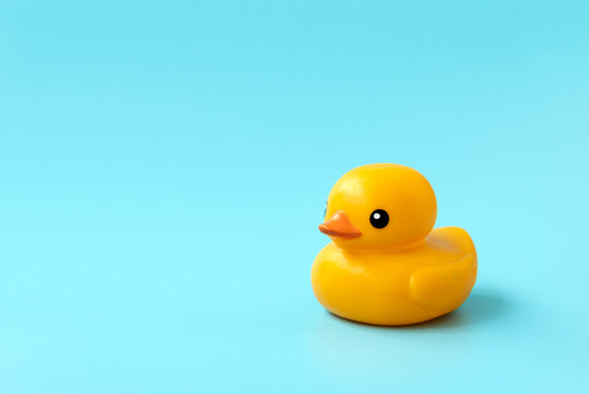 Yellow rubber duck on blue background