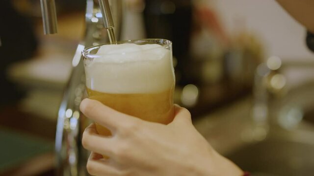 Close up of girl's hand pulling a pint of blonde beer from a tap