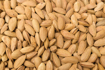 Almond tree seeds in shell - Almond nuts for the backdrop.