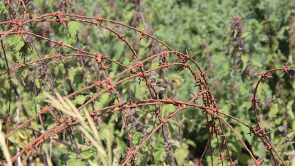 ruins of a bunker at the pointe du hoc in normandy (france) 