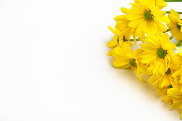 Creative layout of yellow chrysanthemums on a white background. Minimal summer concept with copy space.