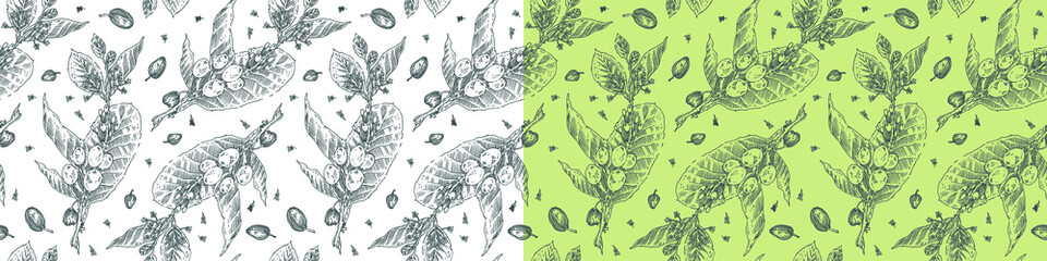 Vintage engraved coffee branch pattern. Coffee package seamless background for coffee shop banner template with vector beans drawing in engraving style. Coffee roasting banner. Organic brand.