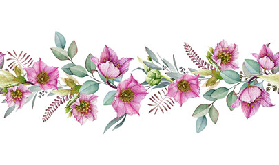 Hellebore flower seamless border. Spring pink flowers in the full bloom with eucalyptus leaves seamless decor. Beautiful spring and winter blooming helleborus flower border. On white background © anitapol
