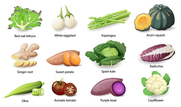 Vegetables with caption titles set, vector flat style illustration.
