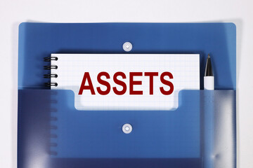 ASSET. EXT ON WHITE PAPER ON BLUE FOLDER