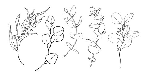 Vector floral set of linear eucalyptus branches and leaves. Hand painted black plants isolated on white background. Minimalistic illustration for design, print, fabric, background. Trendy and stylish.