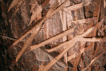 wooden stump, saw marks, background