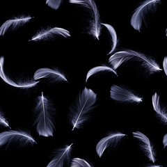 Feather black. White pastel angel feather closeup texture falling on black background for seamless...