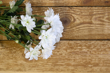Fototapeta na wymiar Fresh beautiful white gerberas flowers daises on dark wooden background close up with copy space