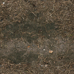 Seamless forest dirty ground texture