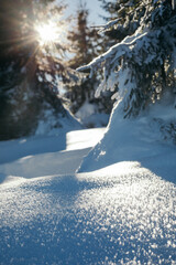 A snow covered mountain travel