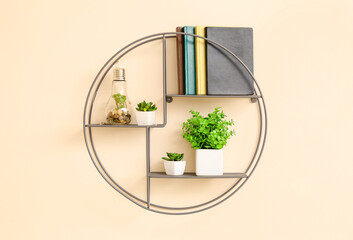 Shelf with books, plants and decorative light bulb hanging on color wall