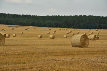 agro