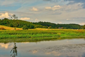 landscape with river