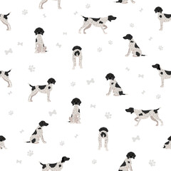 German shorthaired pointer seamless pattern. Different poses, coat colors set.