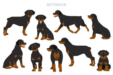 Rottweiler clipart. Different poses, coat colors set