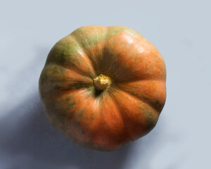 Pumkin on white background