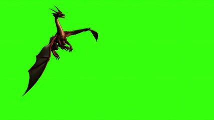  Dragon in fly - separated on green screen