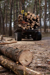 A wooden log lies on the ground in front of a trailer full of timber