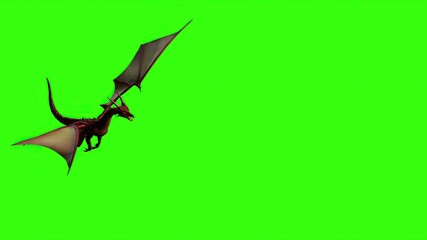  Dragon in fly - separated on green screen