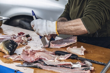 
Man prepare a fresh fish by gutting and filleting. Fishing.
