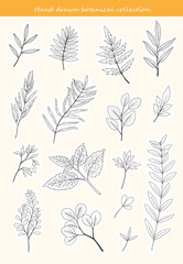Fototapeta premium Botanical stickers set. Collection of hand drawn flowers and branches