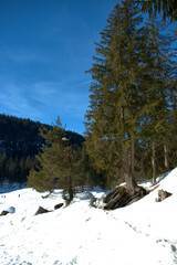 Winter scenery at the lake Cauma near Flims in Switzerland 20.2.2021