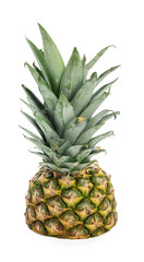 Half of fresh pineapple on white background