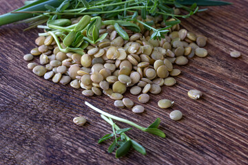 Healthy eating. Sprouted lentils on the wooden background. Superfood. Raw Organic Bean Sprout Salad with Lentils