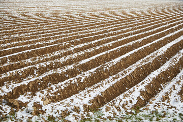 Snow-covered field in winter. An arable field, also called a field or field, is an agriculturally...