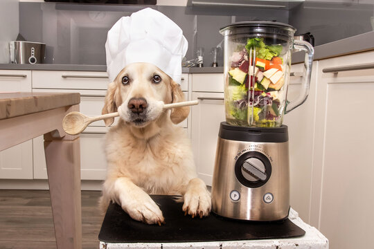 Kochen
