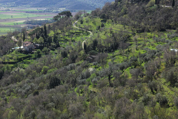 Obraz premium Sunny Tuscany landscape in spring