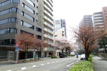 Obraz premium street in the city