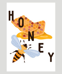 Honey banner or card template with bee and inscription, flat vector illustration. Honeycomb with bee. Honey producing, beekeeping and apiary farm products label or poster.