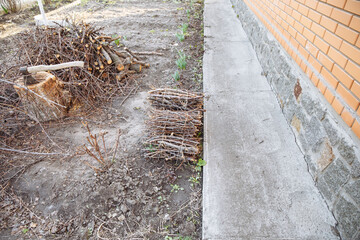 Spring, cleaning the garden. An old ax in a tree stump. Nearby there is brushwood tied with a gray rope. On the right is the wall of a red brick house. Dry grass. Spring landscape.