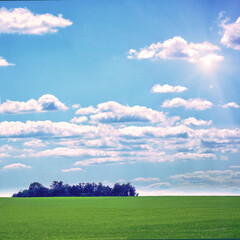 A green field and small forest against a cloudy sky in Sunny weather